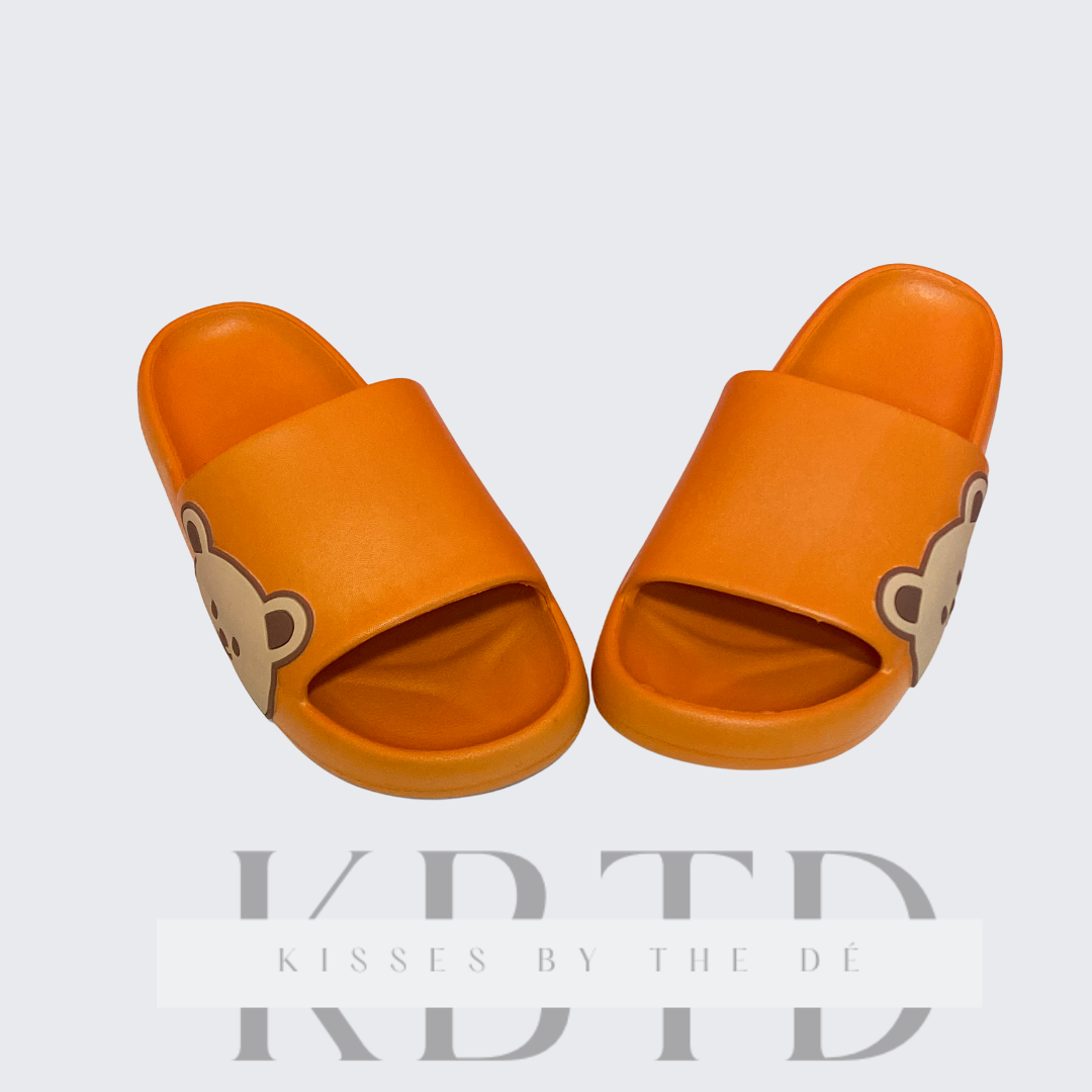 Teddy Slides