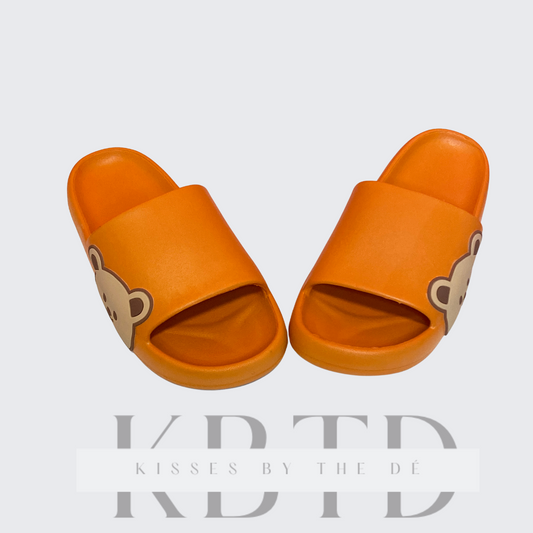 Teddy Slides